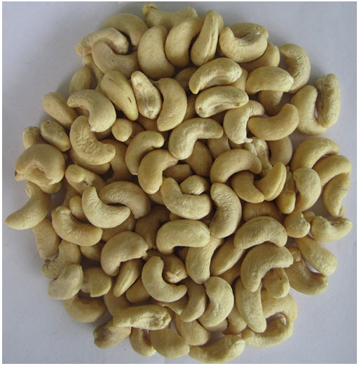 Hình ảnh công ty
