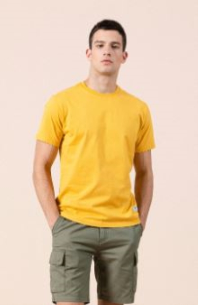 Áo crop top