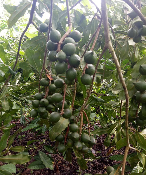 Kết quả kiểm tra