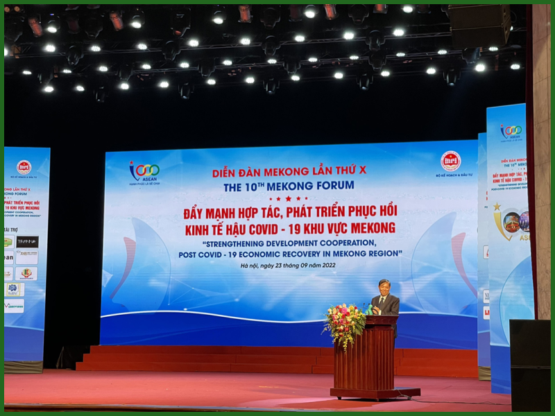 Bưởi hồng