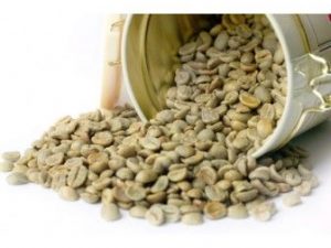 Robusta S18