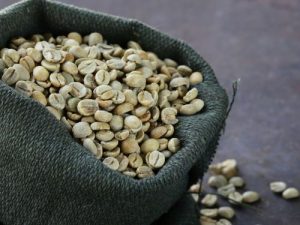 Robusta S16
