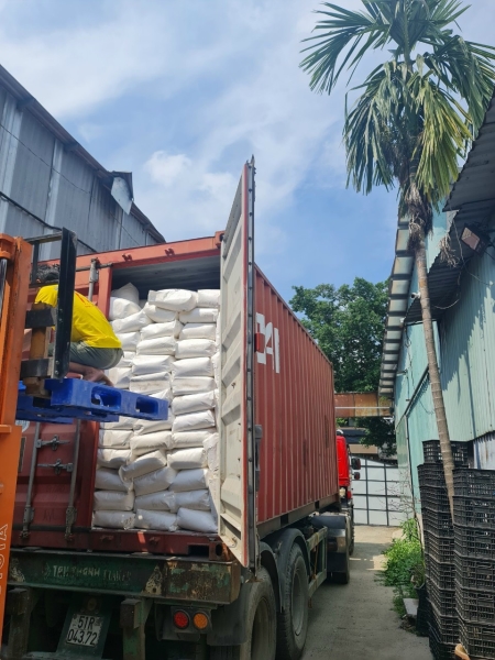 Bột đu đủ