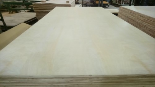 Ván ép birch trắng